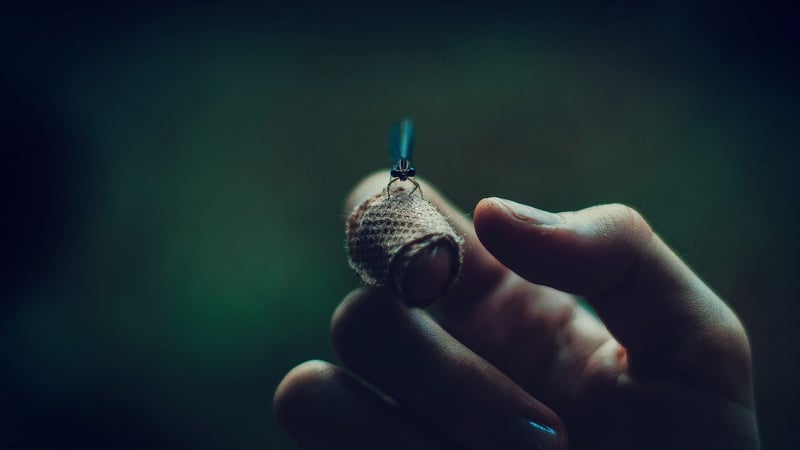 Firefly dance